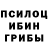 Псилоцибиновые грибы Magic Shrooms Niki Aliks