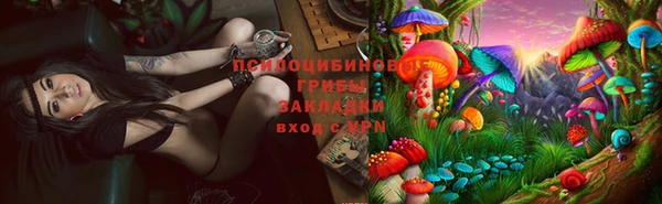 тгк Арсеньев