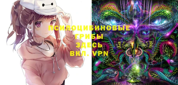 тгк Арсеньев