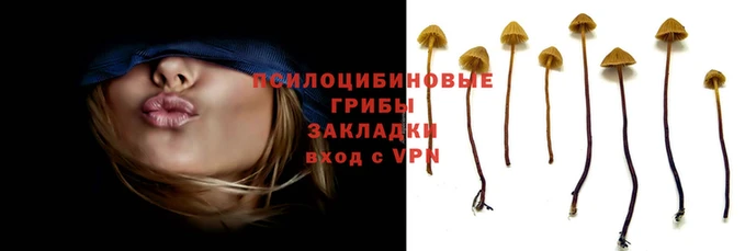 тгк Арсеньев