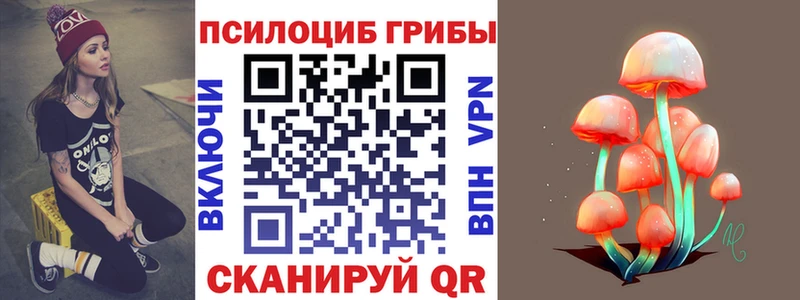 Псилоцибиновые грибы Cubensis  Сортавала 